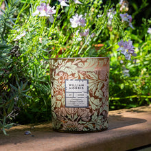 Load image into Gallery viewer, WMH KITCHEN GARDEN - Sunlit Tomato Scented Candle 180g (Odour Neutralising Technology)