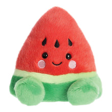 Load image into Gallery viewer, PP Sandy Watermelon 5In