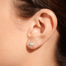 Load image into Gallery viewer, Boxed Earrings LUCKY ELEPHANT