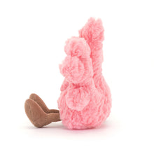 Load image into Gallery viewer, Amuseables Coral
