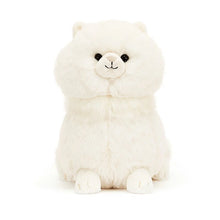 Load image into Gallery viewer, Carissa Persian Cat