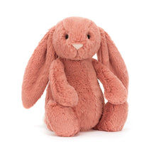 Load image into Gallery viewer, Bashful Sorrel Bunny Original