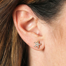 Load image into Gallery viewer, Cubic Zirconia Starfish Stud Earrings with Pearl Backs