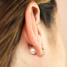 Load image into Gallery viewer, Cubic Zirconia Starfish Stud Earrings with Pearl Backs