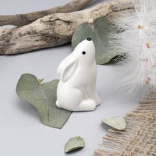 Load image into Gallery viewer, Send With Love Ceramic Stargazing Hare Charm