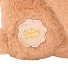 Load image into Gallery viewer, Oatey the Plush Long Leg Light Brown Bunny- 35cm