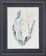 Load image into Gallery viewer, Sweet Seaweed I1 - Zebra Blush
