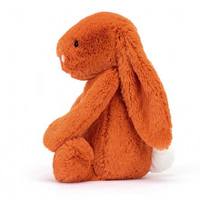 Load image into Gallery viewer, Bashful Tangerine Bunny
