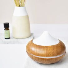 Load image into Gallery viewer, Aroma Home - Harmony Diffuser - Zebra Blush