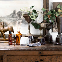 Load image into Gallery viewer, 250ml Relax Therapy Reed Diffuser Lavender & Clary Sage - Zebra Blush