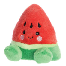 Load image into Gallery viewer, PP Sandy Watermelon 5In
