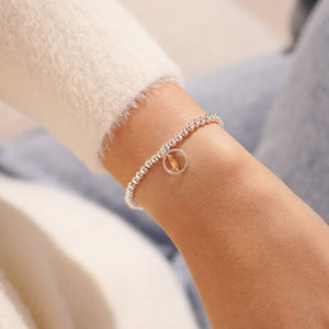 Beautifully Boxed A Little 'Feathers Appear When Loved Ones Are Near' Bracelet