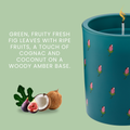 Load image into Gallery viewer, Cath Kidston  Home Fragrance Fig Tree Glass Candle 180g  (Dark Green)

