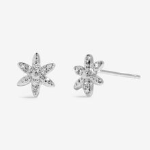 Load image into Gallery viewer, MOMENTS TO SHINE SO LOVELY Silver Plated Stud Earrings
