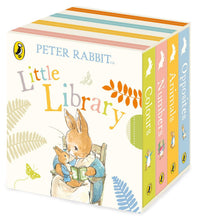 Load image into Gallery viewer, PETER RABBIT LITTLE LIBRARY (BOARD)
