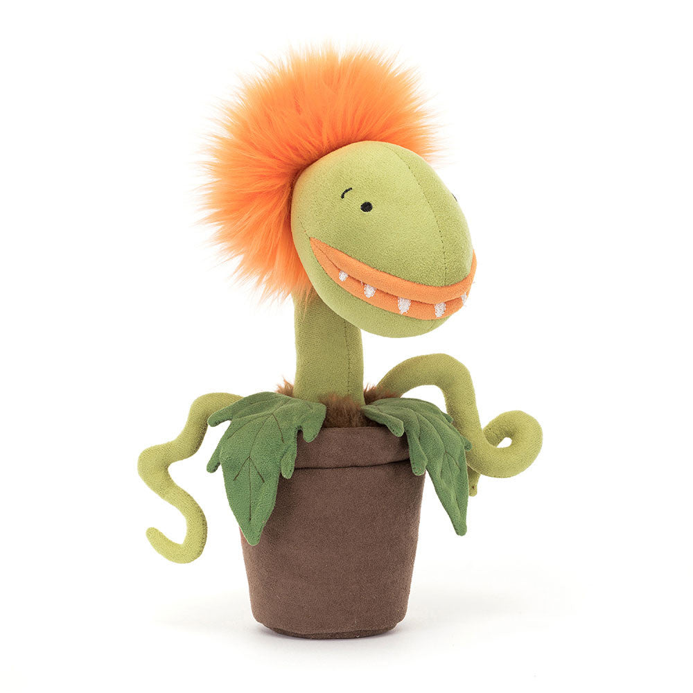 Carnifiore Tammie