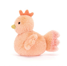 Load image into Gallery viewer, Fluffy Chicken
