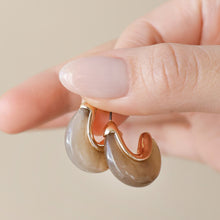 Load image into Gallery viewer, Organic Resin Earrings Cocoa

