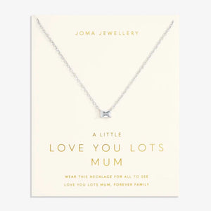 LOVE FROM YOUR LITTLE ONES  LOVE YOU LOTS MUM  Silver Plated  Necklace