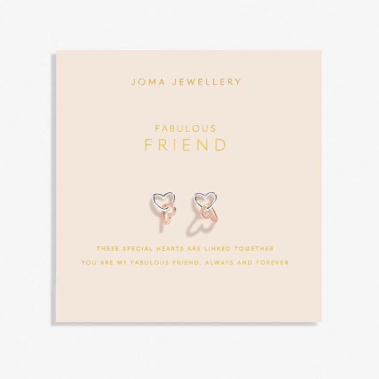 FOREVER YOURS EARRINGS FABULOUS FRIEND Silver and Rose Gold Plated Earrings