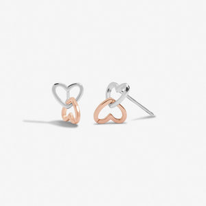 FOREVER YOURS EARRINGS FABULOUS FRIEND Silver and Rose Gold Plated Earrings