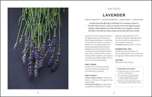 Load image into Gallery viewer, NATURAL MENOPAUSE
