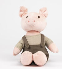 Load image into Gallery viewer, BART PIG
