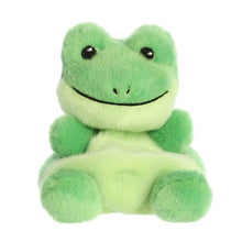 Load image into Gallery viewer, PP Ribbits Frog 5In
