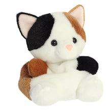 Load image into Gallery viewer, PP Calico Cat 5In
