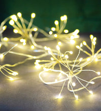Load image into Gallery viewer, ALLIUM STARBURST STRING LIGHTS
