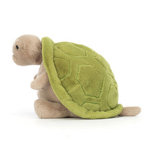 Load image into Gallery viewer, Timmy Turtle Big
