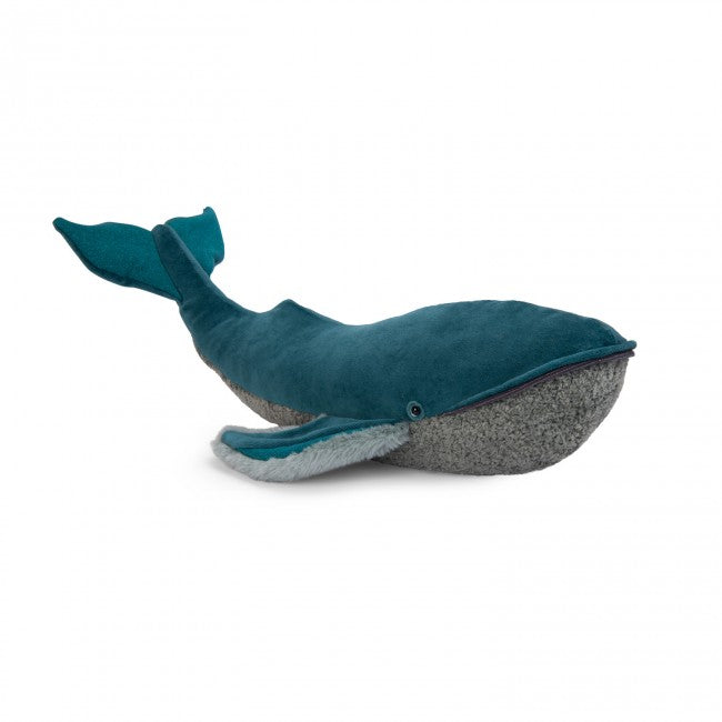 Small whale Tout autour du monde