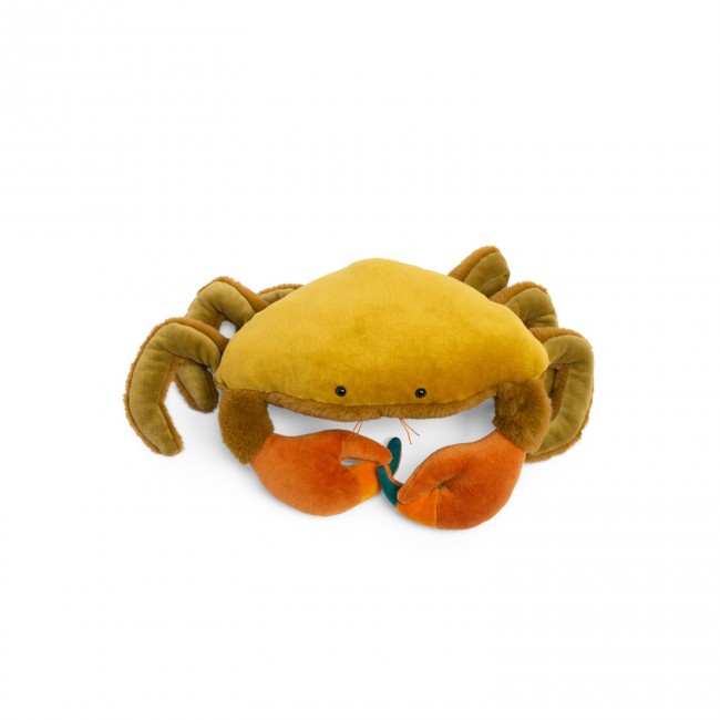 Small crab Tout autour du monde