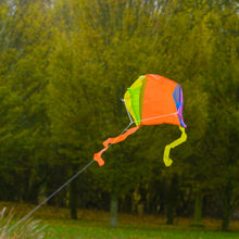 Load image into Gallery viewer, My World Pocket Kite - Zebra Blush
