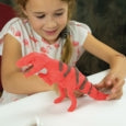 Make Your Own Dinosaur - Zebra Blush