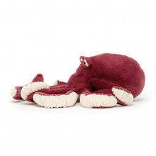 Load image into Gallery viewer, Obbie Octopus Medium - Zebra Blush
