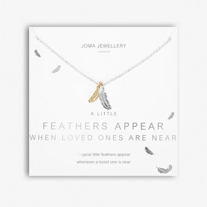 A Little Feathers Appear When Loved One’s Are Near Silver and Gold Necklace