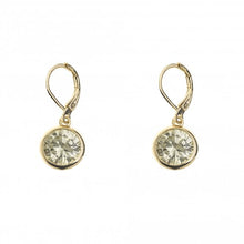Load image into Gallery viewer, Vida Earrings
