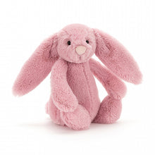 Load image into Gallery viewer, Bashful Tulip Bunny - Zebra Blush
