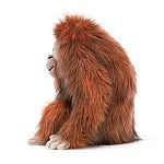 Load image into Gallery viewer, Oswald Orangutan
