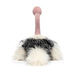 Load image into Gallery viewer, Ramonda Ostrich
