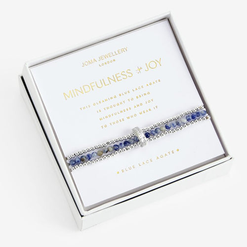 WELLNESS STONES | Silver | Blue Lace Agate Bracelet - Zebra Blush
