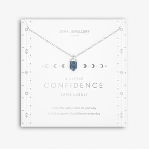 AFFIRMATION CRYSTAL A LITTLE CONFIDENCE NECKLACE - Zebra Blush