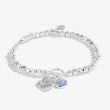 Load image into Gallery viewer, SPIRIT STONES | BLUE AGATE | Silver | Bracelet | 17.5cm stretch - Zebra Blush
