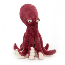 Load image into Gallery viewer, Obbie Octopus Medium - Zebra Blush
