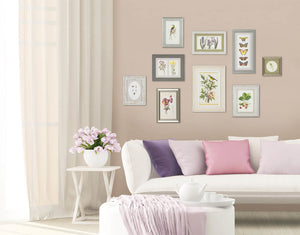 The Botanical Collection - Zebra Blush