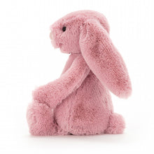 Load image into Gallery viewer, Bashful Tulip Bunny - Zebra Blush
