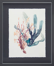 Load image into Gallery viewer, Sweet Seaweed I - Zebra Blush
