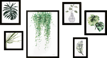 Load image into Gallery viewer, Plant Study Collection - Zebra Blush
