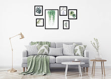 Load image into Gallery viewer, Plant Study Collection - Zebra Blush
